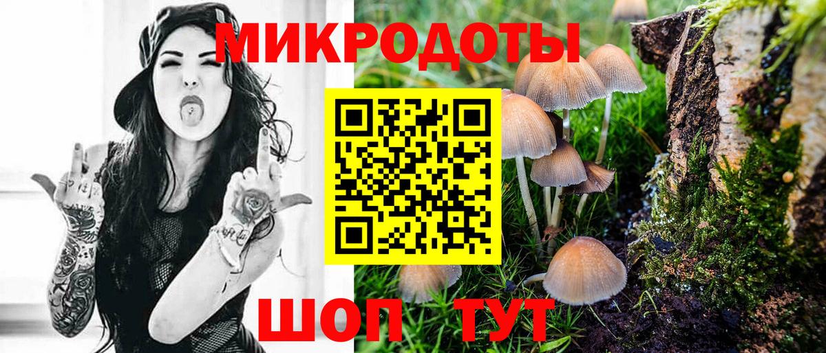 Псилоцибиновые грибы Cubensis  Вход с VPN  купить наркотик  Серов  Галлюциногенные грибы Psilocybe 