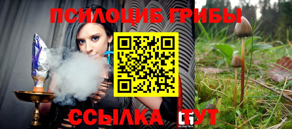 Галлюциногенные грибы MAGIC MUSHROOMS Серов